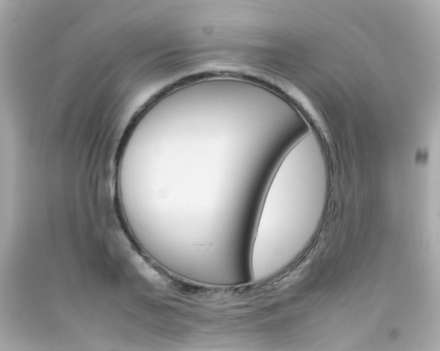 X0000092090791200709121125