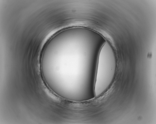X0000092090792200709121125