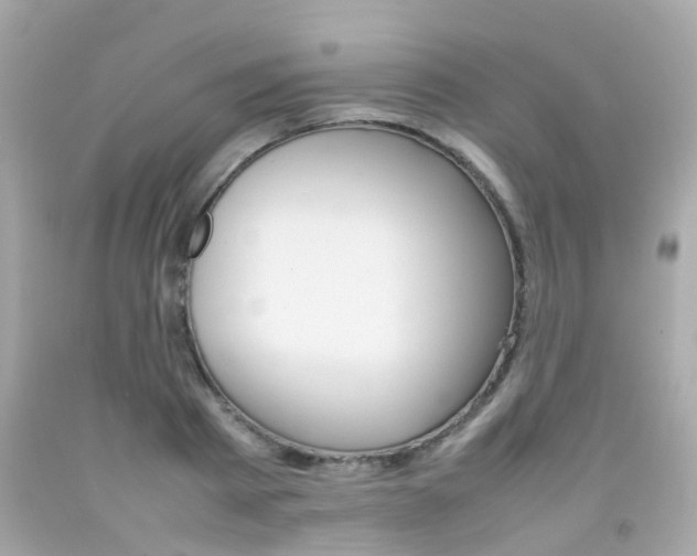 X0000092090793200709121125