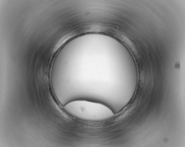 X0000092090794200709121125