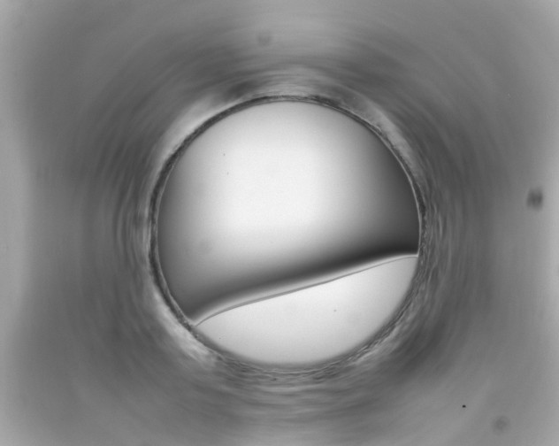 X0000092090795200709121125