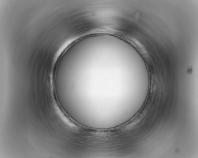 X0000092090796200709121125