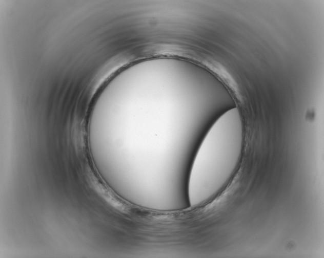 X0000092090798200709121125