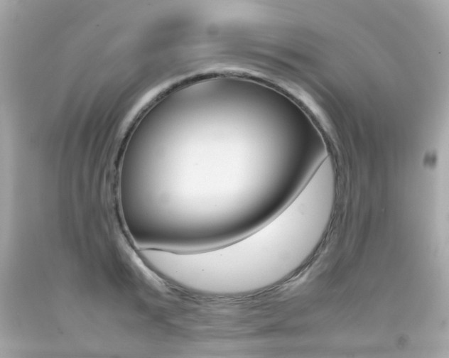 X0000092090799200709121125