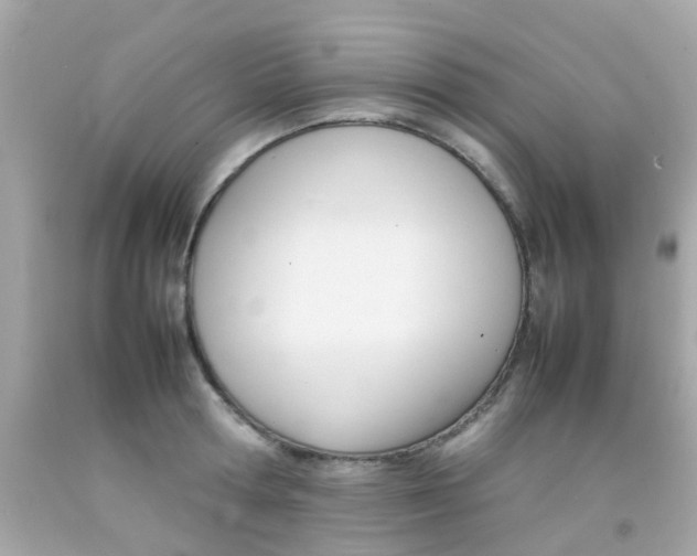 X0000092090802200709121124