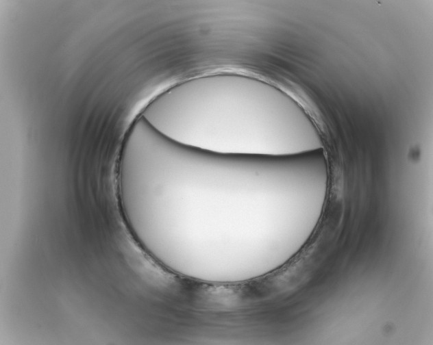 X0000092090806200709121124