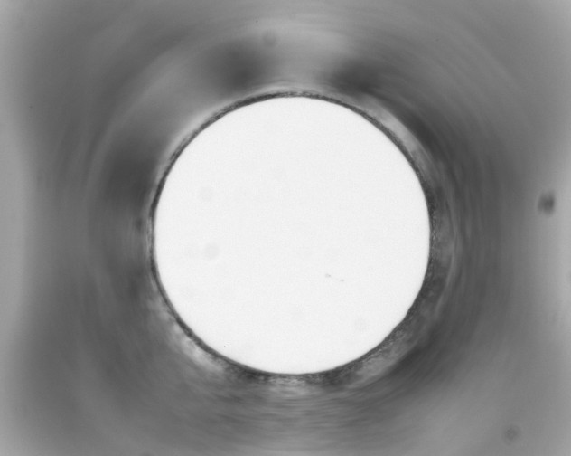 X0000092090807200709121124