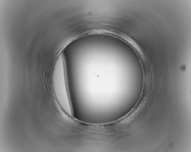 X0000092090809200709121124