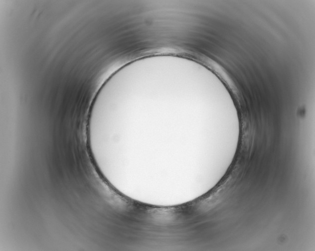 X0000092090810200709121124