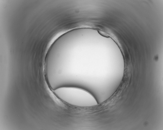 X0000092090811200709121124