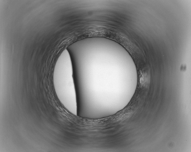 X0000092090819200709121124