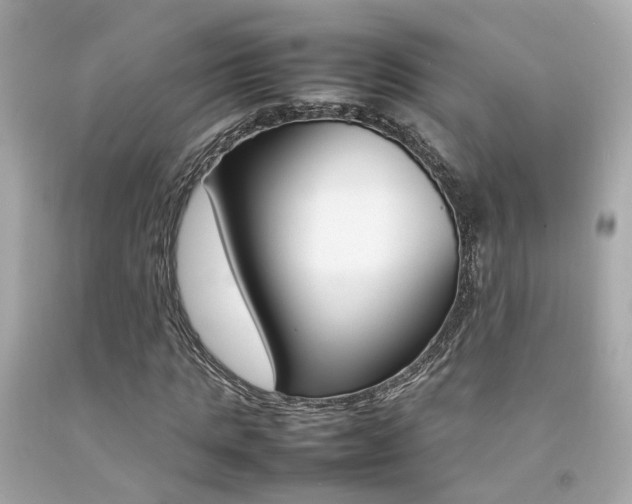 X0000092090821200709121124