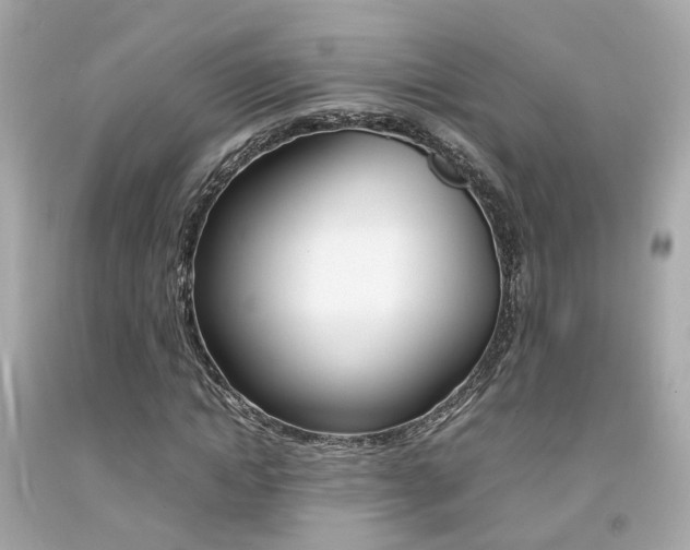 X0000092090822200709121124