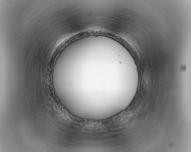 X0000092090823200709121124