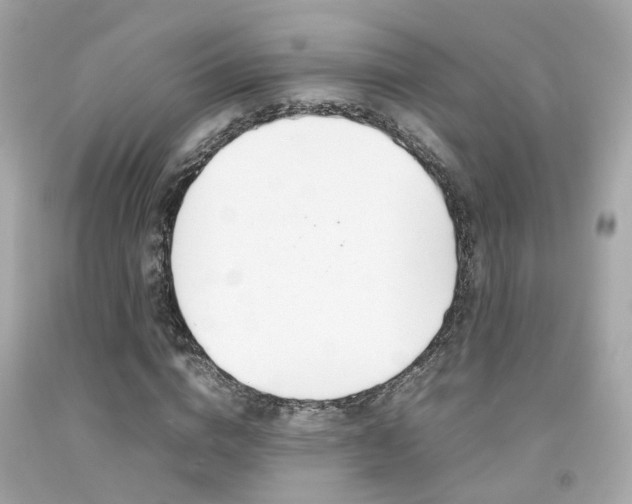 X0000092090824200709121124