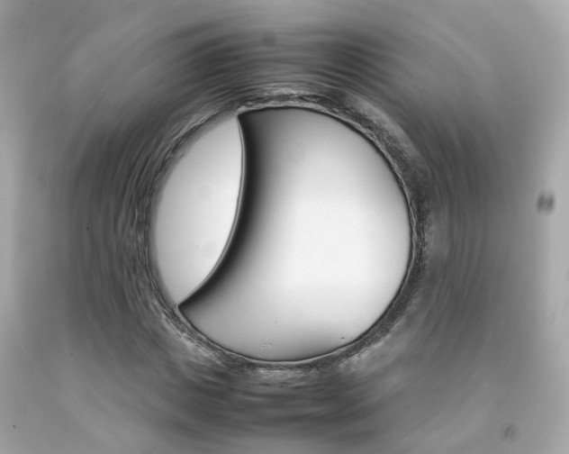 X0000092090825200709121124