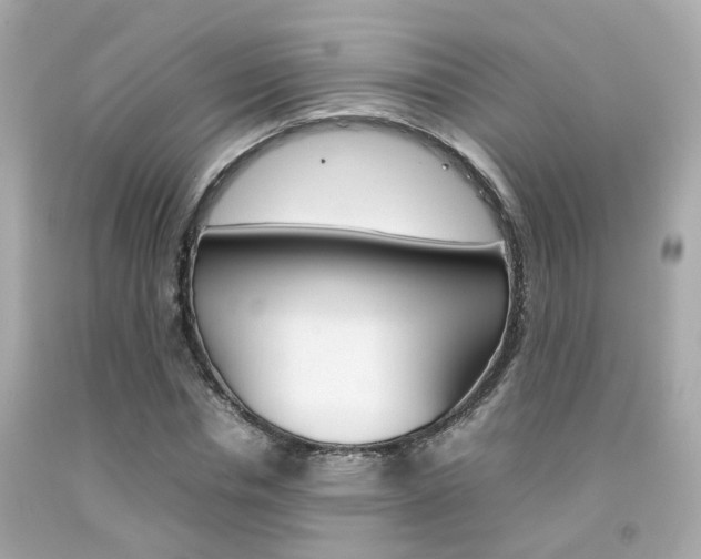 X0000092090826200709121124
