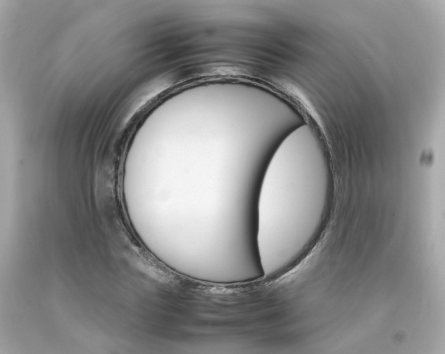 X0000092090827200709121124