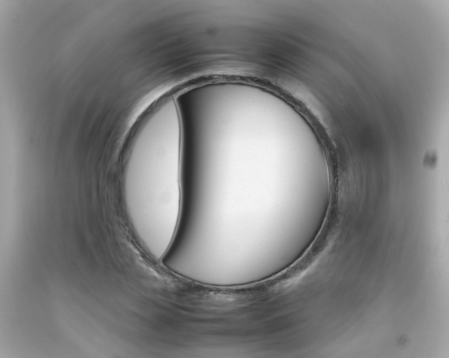 X0000092090829200709121124