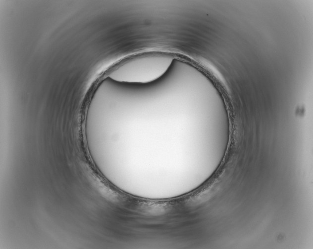 X0000092090831200709121124