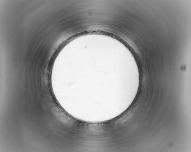 X0000092090832200709121124