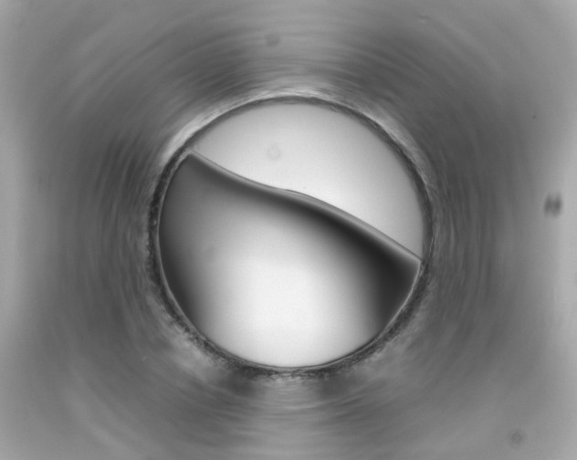 X0000092090834200709121124