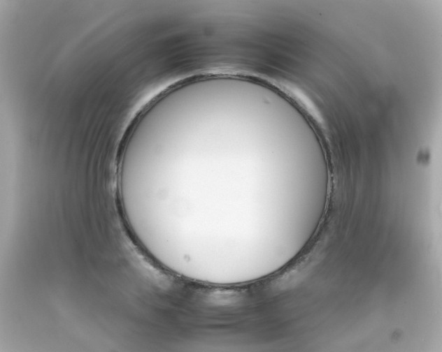 X0000092090839200709121124