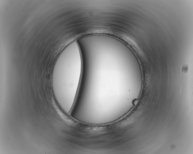 X0000092090841200709121124