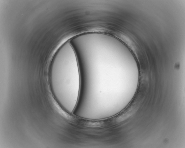 X0000092090843200709121124