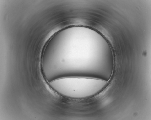 X0000092090845200709121124