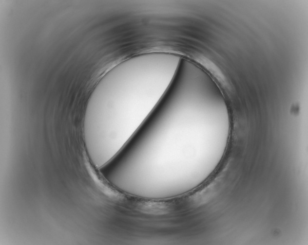 X0000092090849200709121124