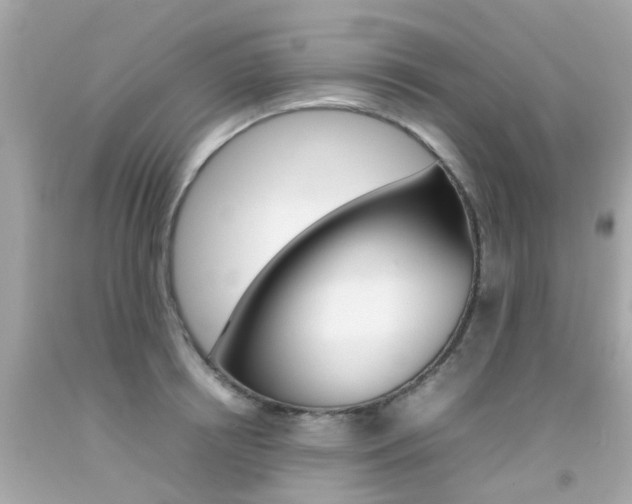 X0000092090850200709121124