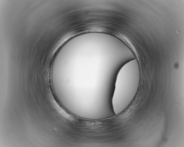 X0000092090851200709121124