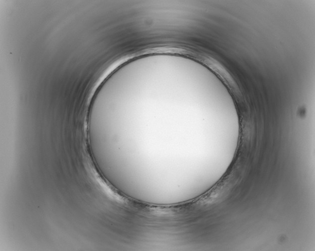 X0000092090852200709121124