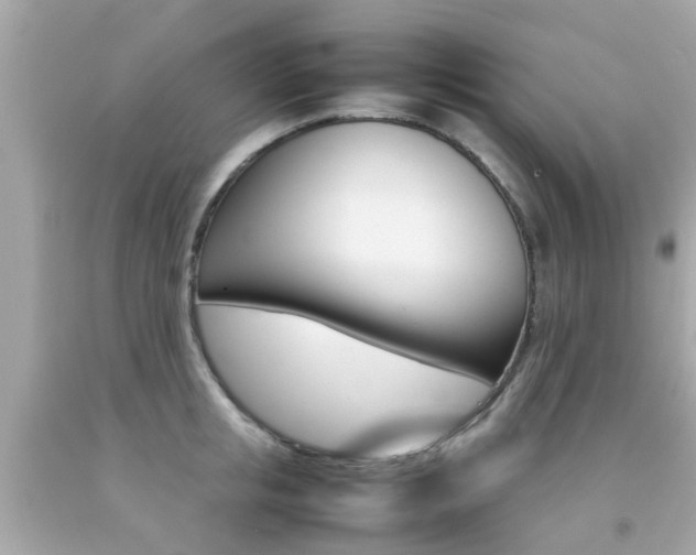 X0000092090853200709121124
