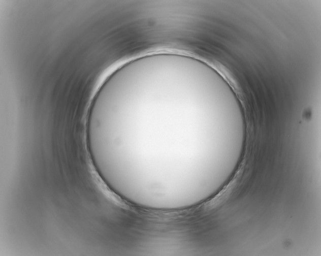 X0000092090854200709121124