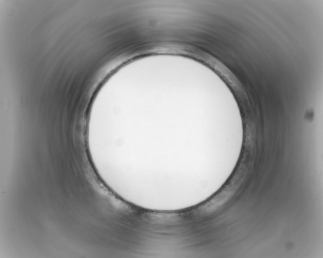 X0000092090856200709121124