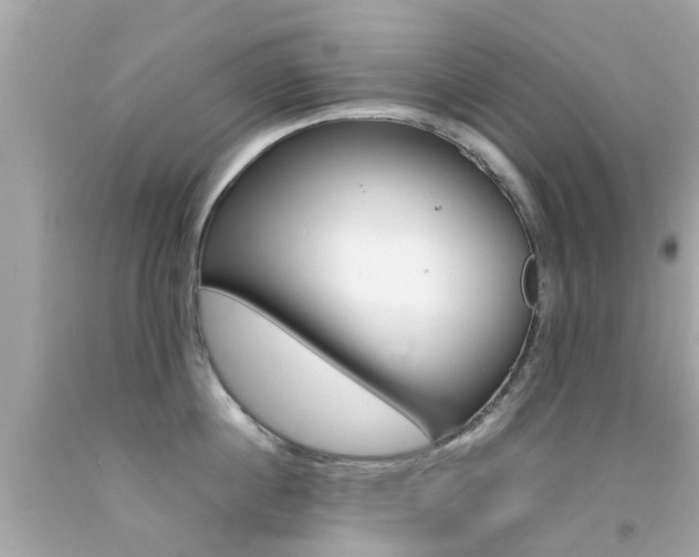 X0000092090860200709121124
