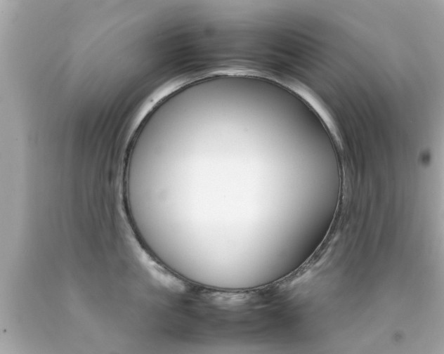 X0000092090861200709121124