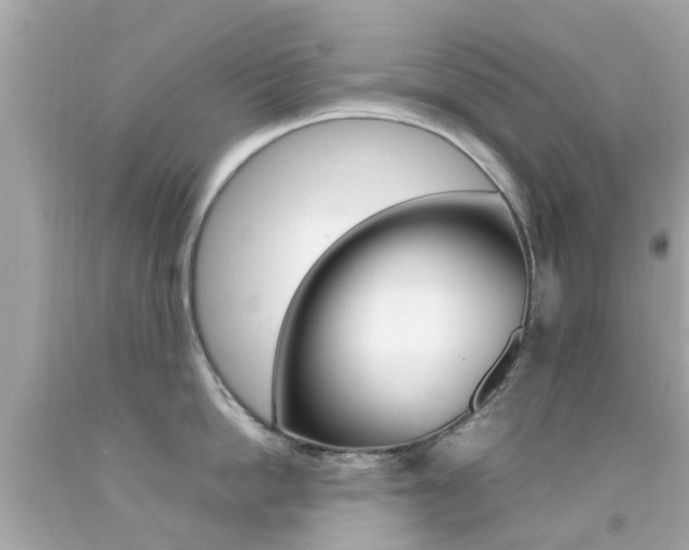 X0000092090862200709121124
