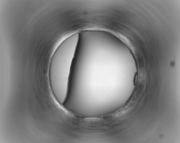 X0000092090863200709121124