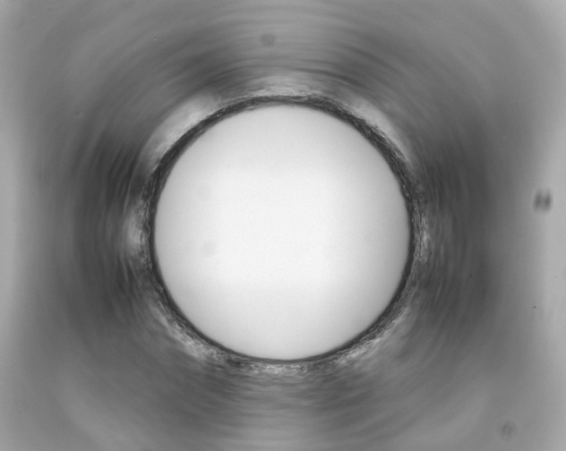 X0000092090874200709121124