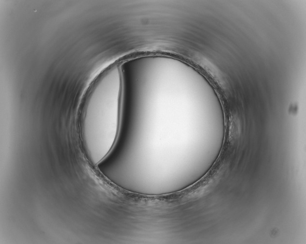 X0000092090876200709121124