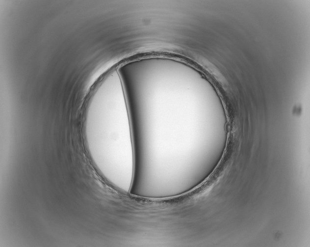 X0000092090877200709121124
