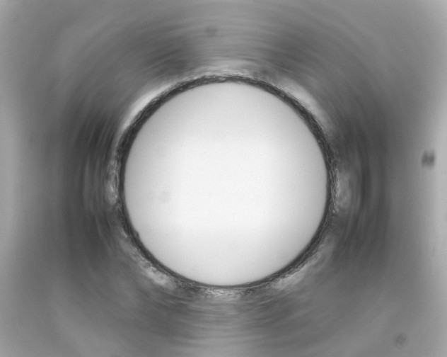 X0000092090878200709121124