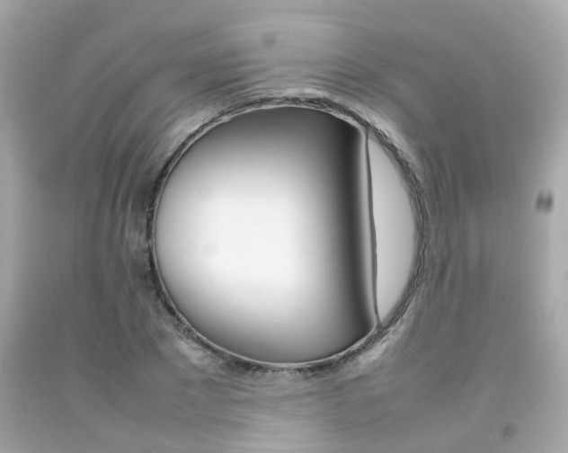 X0000092090881200709121124