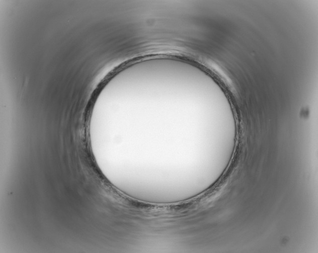 X0000092090883200709121123