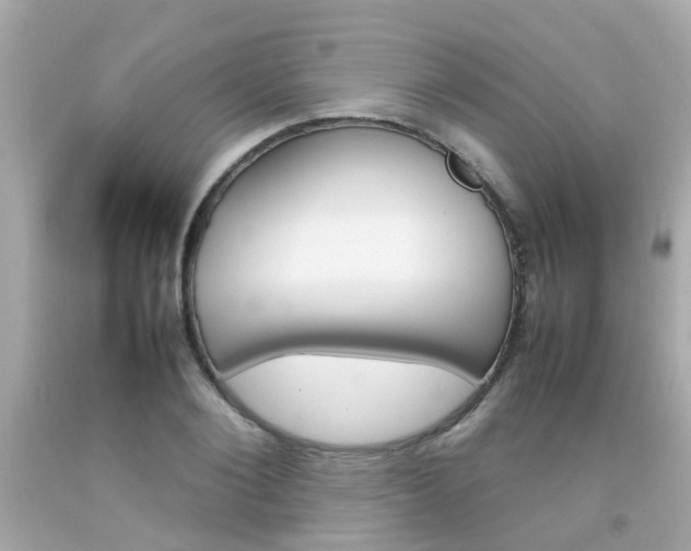 X0000092090884200709121123