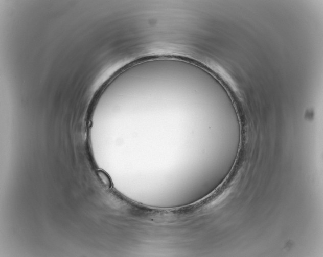 X0000092090885200709121123