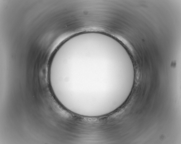 X0000092090886200709121123